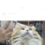 인스타 <b>뭔</b> <b>사진</b> 먼저 올릴까
