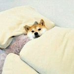 [방탄소년단] 월요일 <b>이지만</b> 현생없는