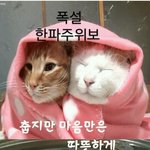 [19] 허쉬컷 할 건데 비싼 미용실...