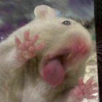 나 <b>욕조</b>에 5시간째 있는중