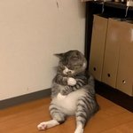 판에 올라오는 글중에 소신발언하자면