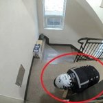 배달 중 택배 ‘슬쩍’한 간 큰 20대..<b>CCTV</b>에 고스란히 담겼다