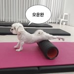 [댓글부탁해] 얘드라 너네 무슨과임?