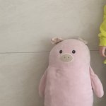 다이소 돼지인형 <b>절실</b>하게 구합니다