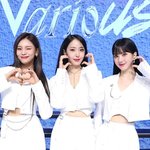 비<b>비지</b> 컴백했는데 헤메코 존예 찰떡이야