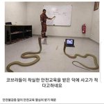어디 <b>통계</b> 보니까 여자 171=남자 185네