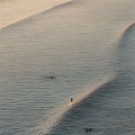 04<b>이상들</b>아 술자리 원래 이런거임??