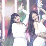 <b>리즈</b>는 살 뺄 생각 없는듯