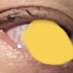 [댓글부탁해] 나 눈 고양이<b>상임</b>..?