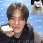 [NCT드림] 제노 보고 <b>원기</b>회복해야지