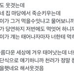 [NCT드림] 얘네 개웃김ㅋㅋㅋㅋㅋㅋㅋ
