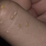[댓글부탁해] 작년 6모 푸는데 이거 복수<b>정답</b> 아님?