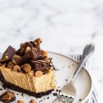 피넛버터 쳐<b>돌이들</b> 모이세요