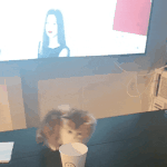 [고양이] 여긴 다 내꺼다<b>옹</b>