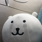 [드루와] 재수vs지방교대 추반점