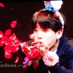 <b>정국</b> 꽃휴사진