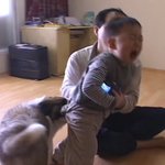 [댓글부탁해] 자극적인 넷플 ㅊㅊ좀