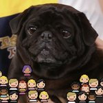 조세호 닮아서 이름도 ‘세오’ 인 강아지 ( <b>feat</b>. 퍼그 )