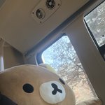 [댓글부탁해] 당근에서 <b>리락쿠마</b> 삿는데