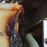 대단히도 <b>우연</b>치 않게 우리 가족은 살아남게 되었다.