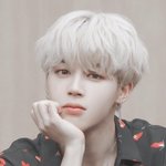 방탄 지민은 강아지상이야 <b>고양</b>이상이야??