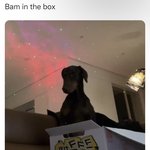 [군대] 밤인더<b>박</b>슼ㅋㅋㅋㅋㅋ