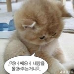 설레고 , 몽글몽글해지고 , <b>청춘</b>을 느낄수있는 그런썰좀 풀어줘