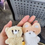 전나 <b>기엽</b>다