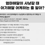 [드루와] 이거진짜 귀<b>엽당</b>…아기해달