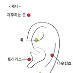 [19] 피어싱 해본 판녀들 들어<b>와바</b>