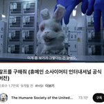 동물<b>실험</b> 안했으면 좋겠다