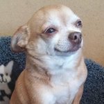 인강 <b>교재들</b> ㅈㄴ 맘에 안 드는 점