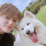 [NCT드림] <b>둘</b><b>다</b> 주인공 해