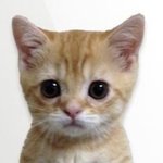 [댓글부탁해] 내 눈이 그렇게 별로임?