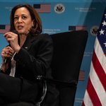 中관영지 “해리스 美부통령, 남중국해 문제 부채질” 비난