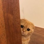 재수해서 인서울 <b>간호</b>간거면