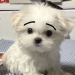 [드루와] ㅈㄴ 음침했던애 썰 <b>풀자</b>