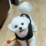 [NCT칠프] 얘들아