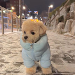 [댓글부탁해] 에이블리 <b>취소</b>할까말까