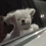 나 괴롭혔던 애가 인스스인데