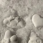 [드루와] 내 친구 <b>쌍수</b> 망했는데 너무 불쌍함