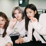 난 아이브에서 이 셋 <b>조합</b>이 제일 좋음