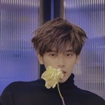 헐