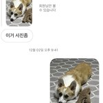 <b>혈육</b>이랑 한 디엠 개웃기다