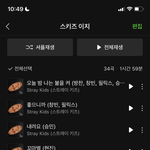 [스키즈] 스테이들 이지<b>리스닝</b> 추천