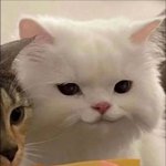 나 수레긴<b>가바</b>