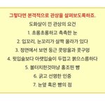 널 사랑했던걸까 너의 <b>학벌</b>을 사랑했던걸까