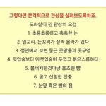 뭐냐 이거 다 <b>나임</b>