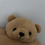 <b>소두</b>곰은 조금 비싸도