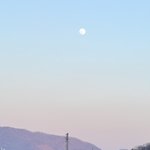 우리 동네 달 <b>개입</b>버 ㅠ